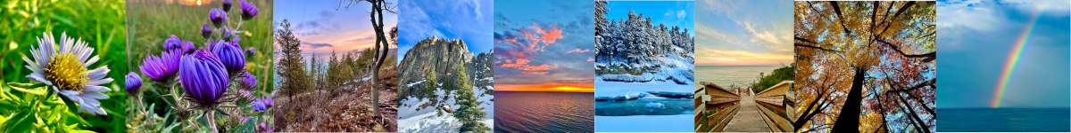 Untitled design (11).png